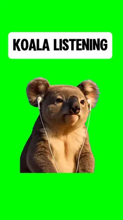 KOALA LISTENING