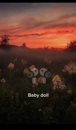 Baby doll - 8d