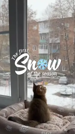 First Snow⛄️