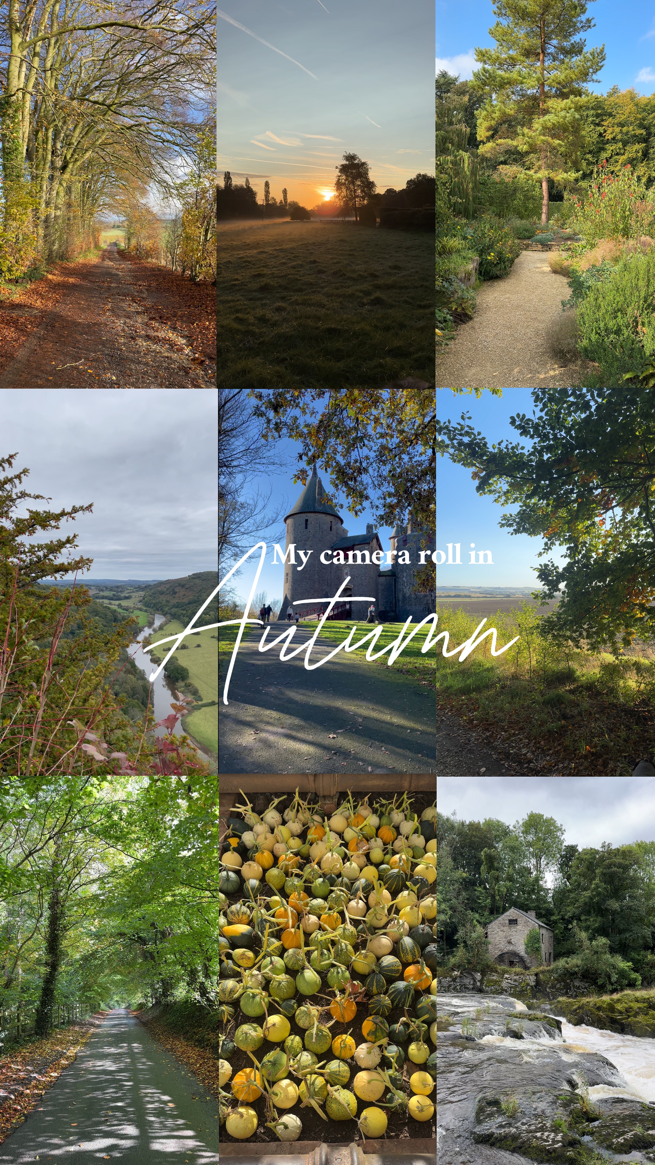 Autumn camera roll 📸