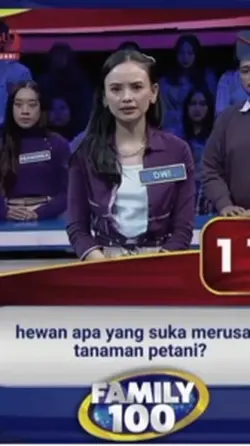 Vidio Kucing Core