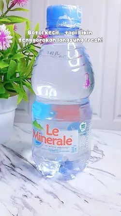 Air Mineral 