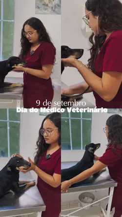 MODELO VETERINÁRIO 