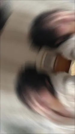 三段節奏給我,照片交給你