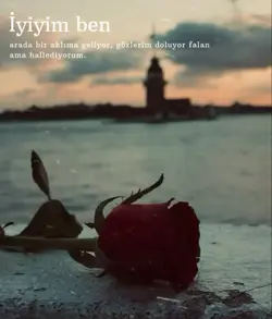 yeni şablon