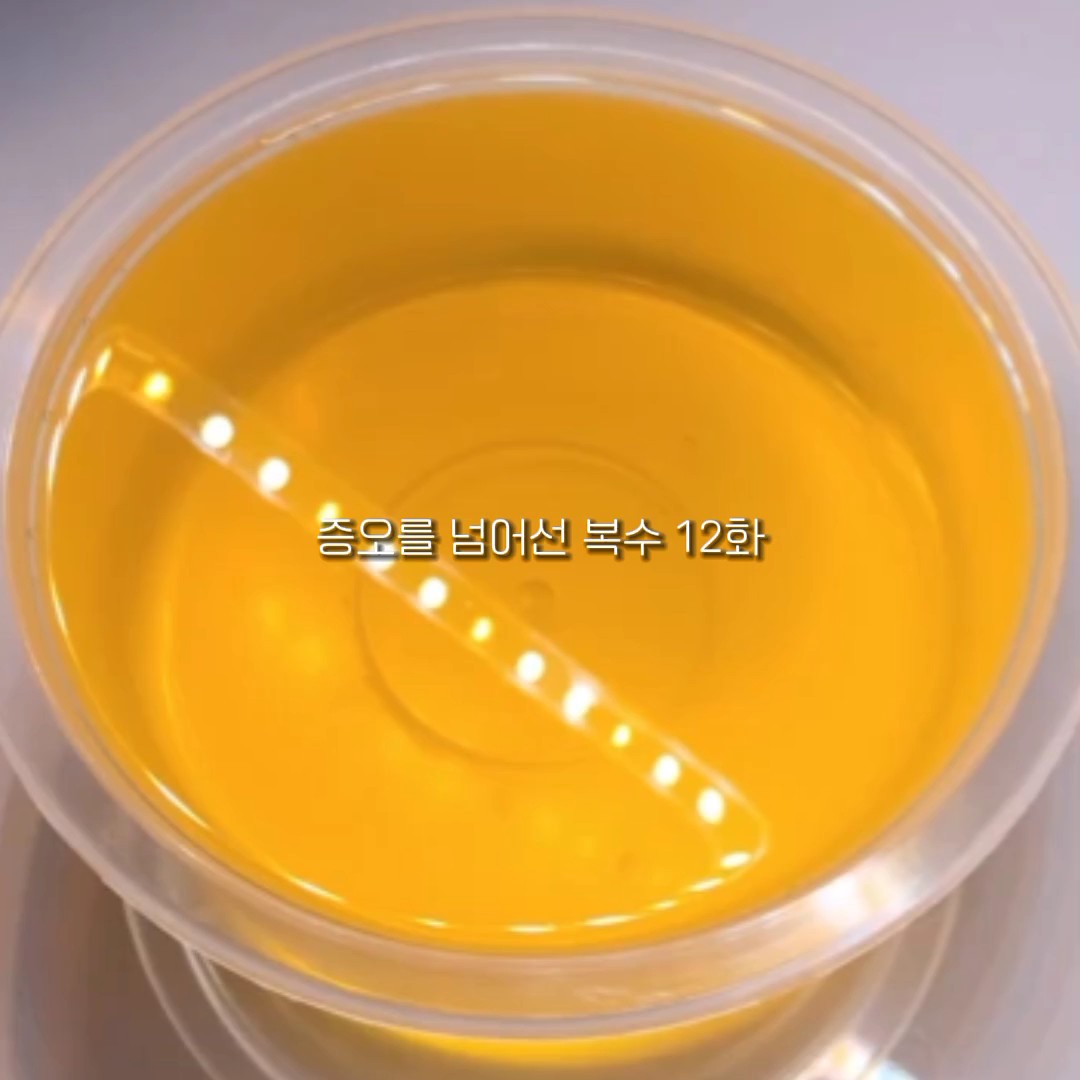 증오를 넘어선 복수 12화