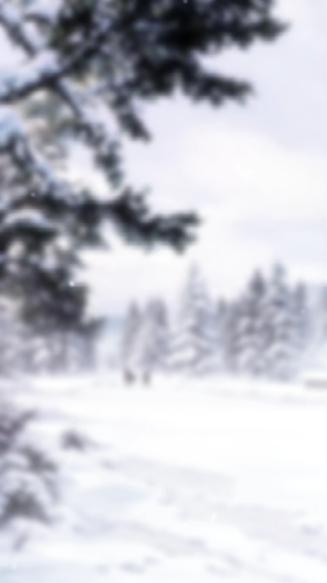 Modelo de neve