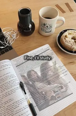 Fine I’ll study