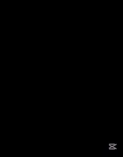 綠色 模板10張