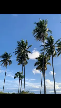 Meurawoh~Ramlanyahya