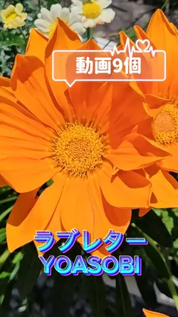 ラブレター
YOASOBI