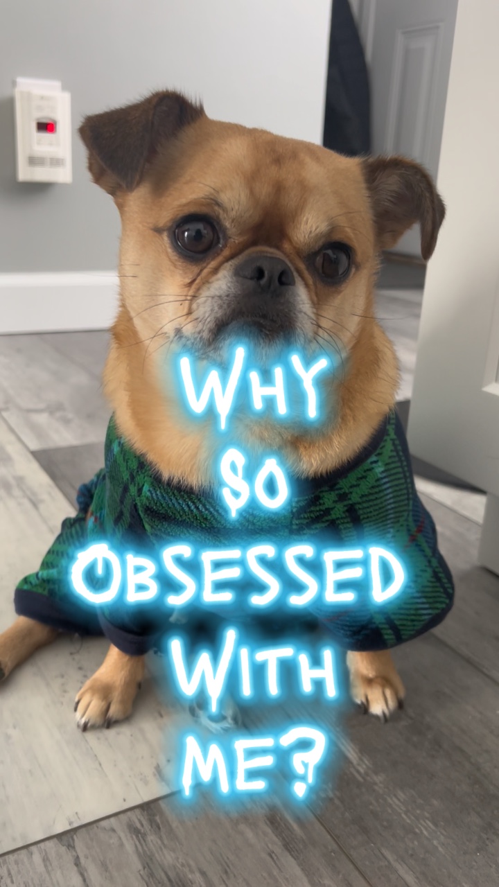 Why so Obsessed?