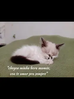 luto...