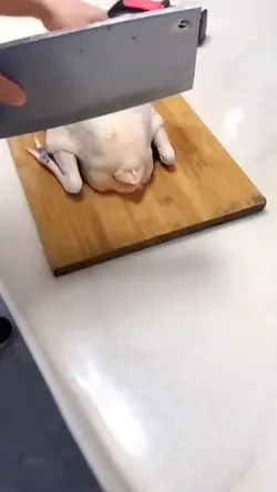 comédia do pum kkk