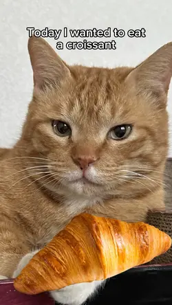 I want to eat 🥐