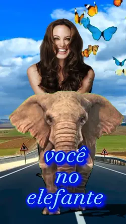vc no elefante 