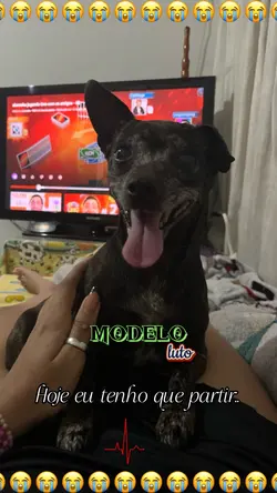 lembre de mim💔