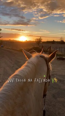 Há uma estrada 🛣 
