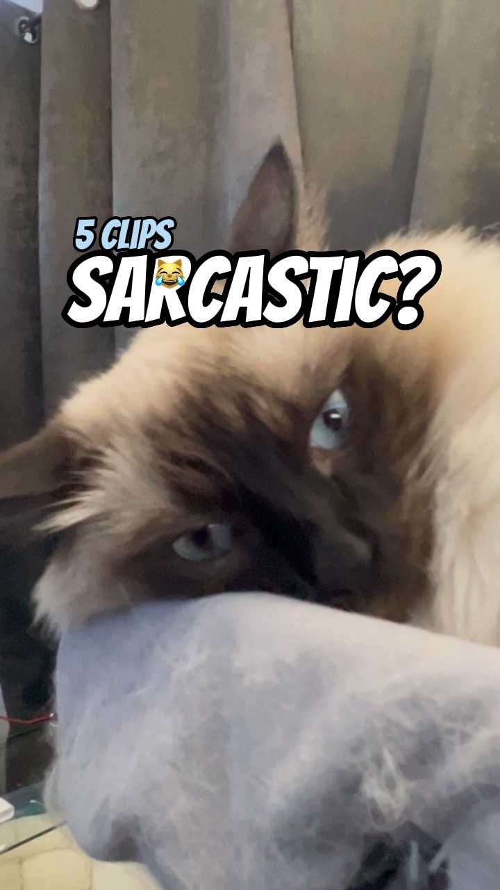 Always sarcastic??