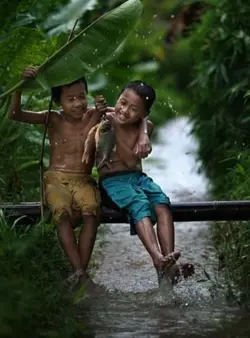 Mil razões para vive