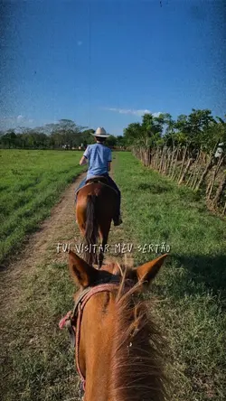 que nasci…