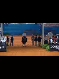 Reining edit!