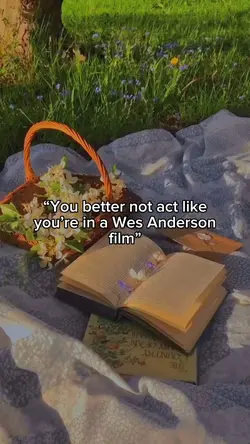 Wes Anderson trend