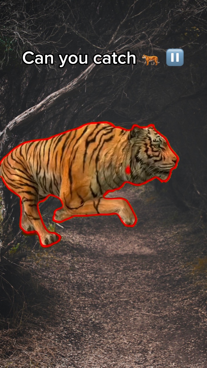 잡으려면 클릭 🐅