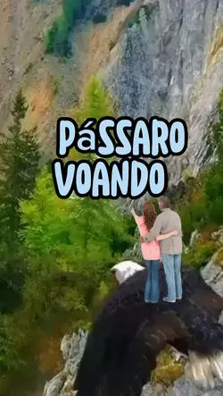 pássaro voando