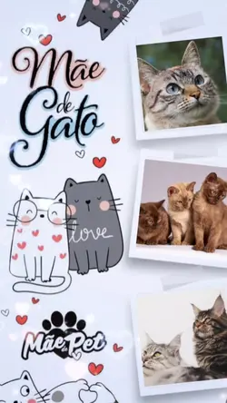 Mãe de gato