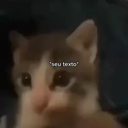 kiss cat