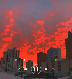 o que olhos nao vem