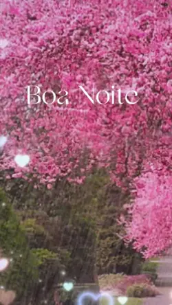 Boa noite 