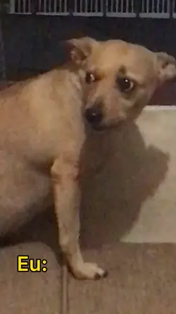 Vai me responder ñ?🙄