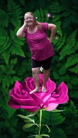 Rosa 