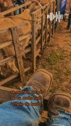 minha origem caipira