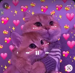 mor te amo