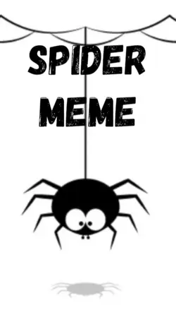 Spider meme