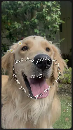 My favorite pet❤️‍🩹