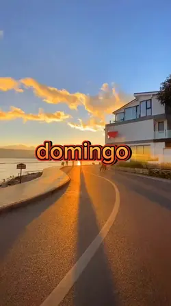 DOMINGOU 