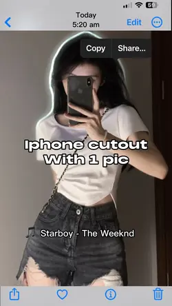 Iphone cutout
