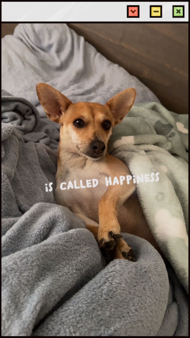 Little Happiness