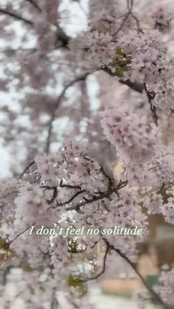 Lost in space w/o u😘