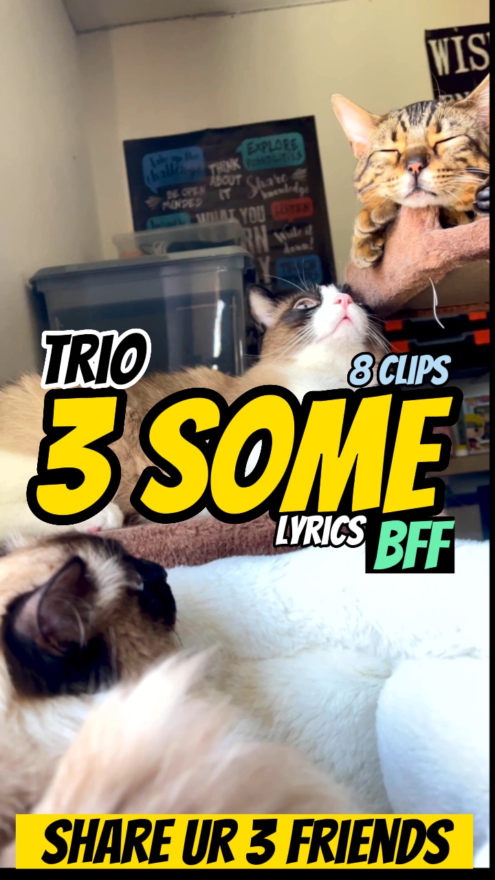 Trio de 3 amis