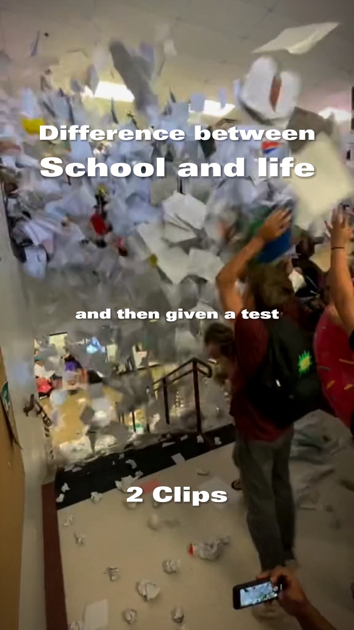 School and life