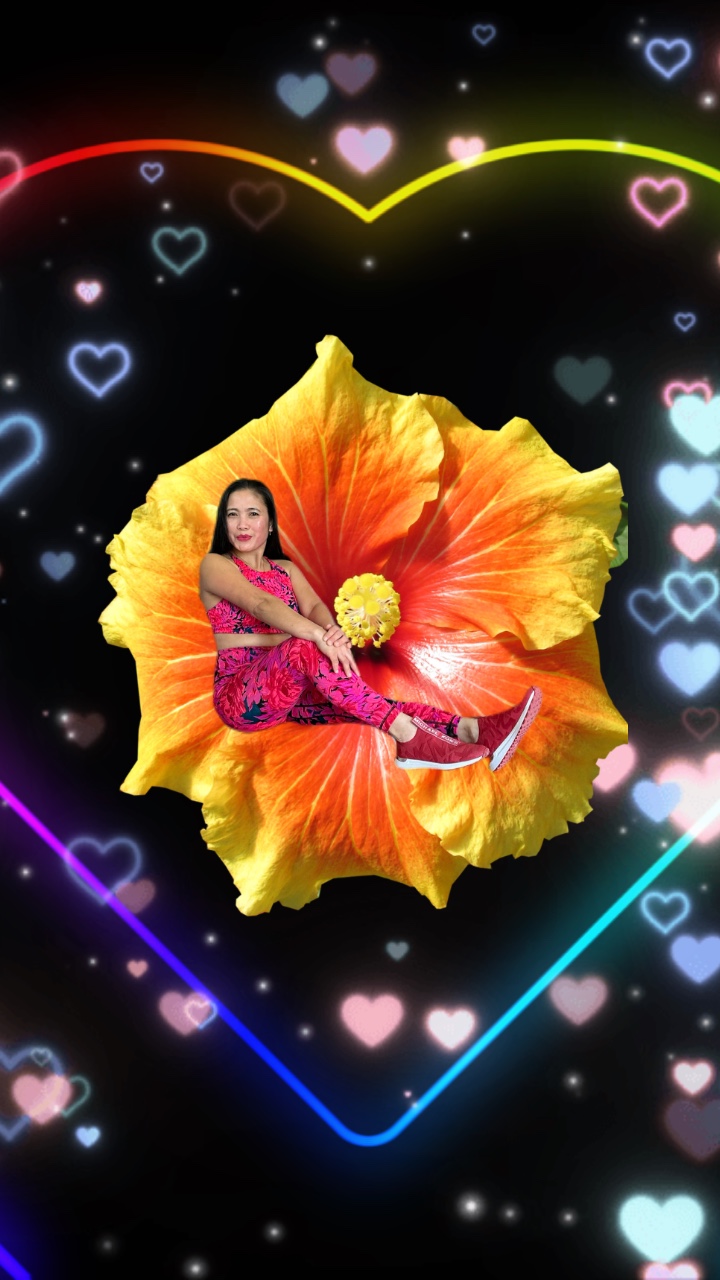 Gumamela flower