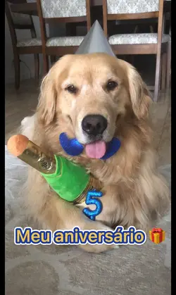 Aniversário tá perto