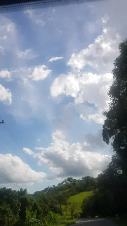 admirando a natureza