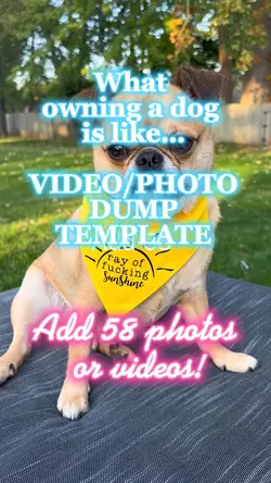 Owning a Dog is Like