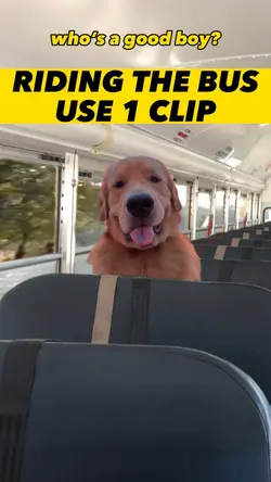 Riding The Bus